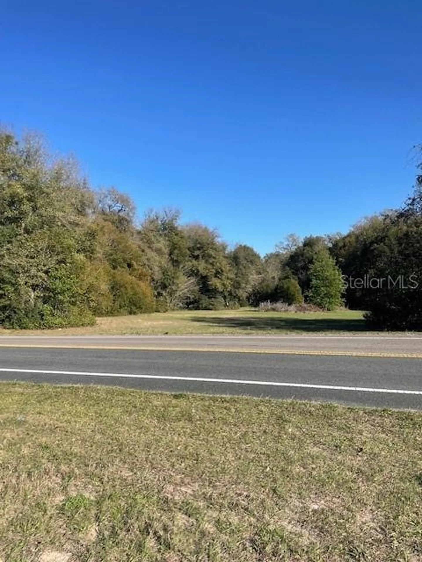 31415 Orange Street Sorrento FL 32776