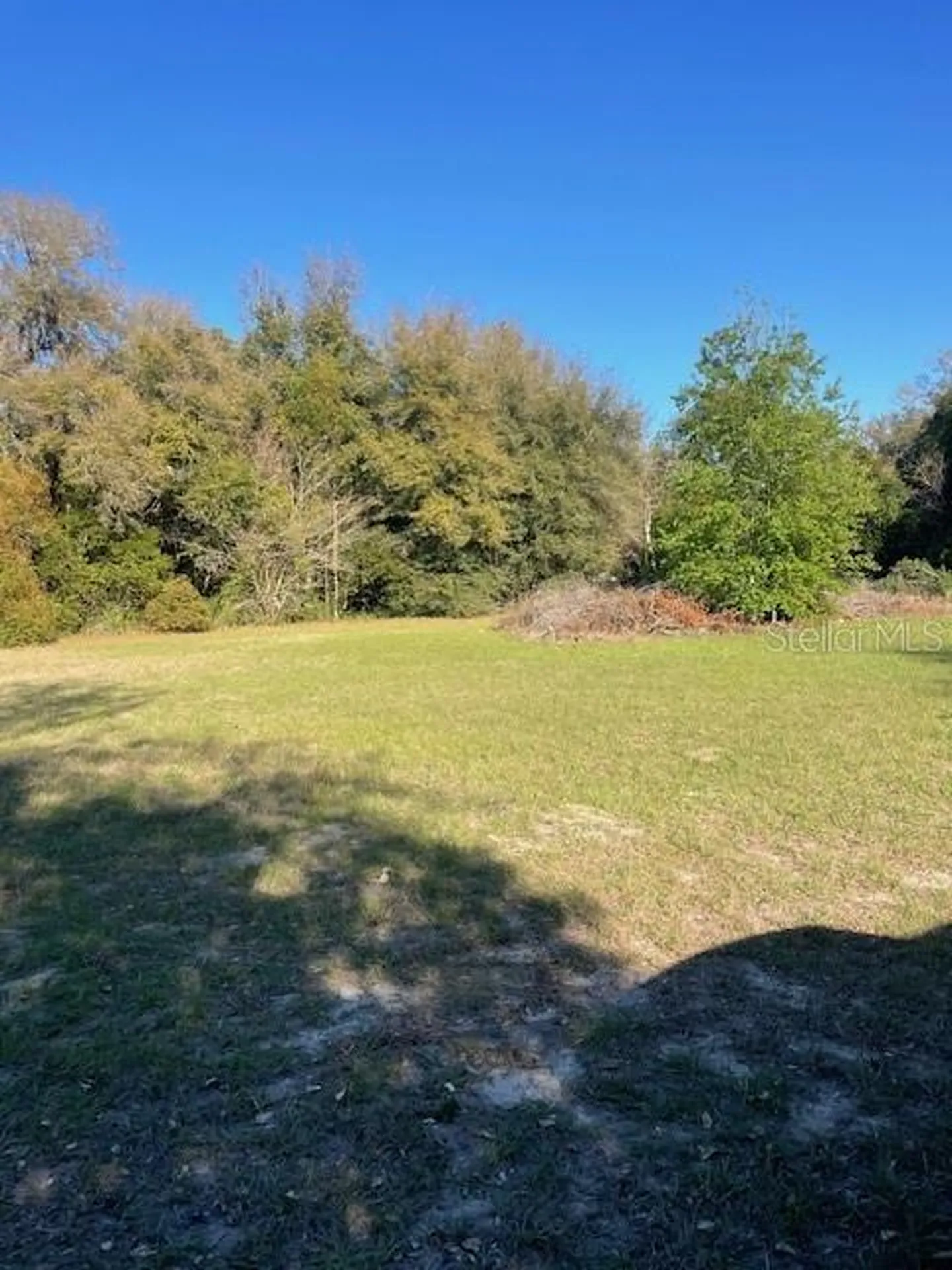 31415 Orange Street Sorrento FL 32776