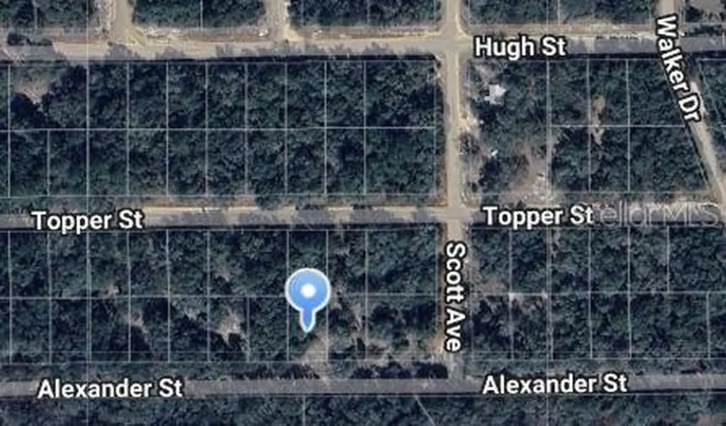 Alexander Street Interlachen FL 32148