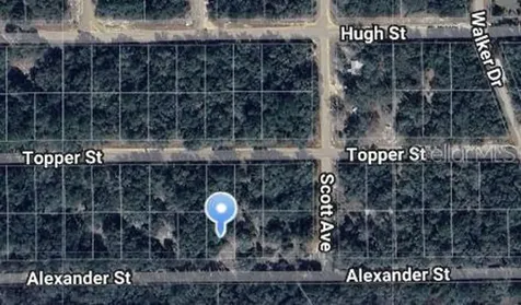Alexander Street Interlachen FL 32148