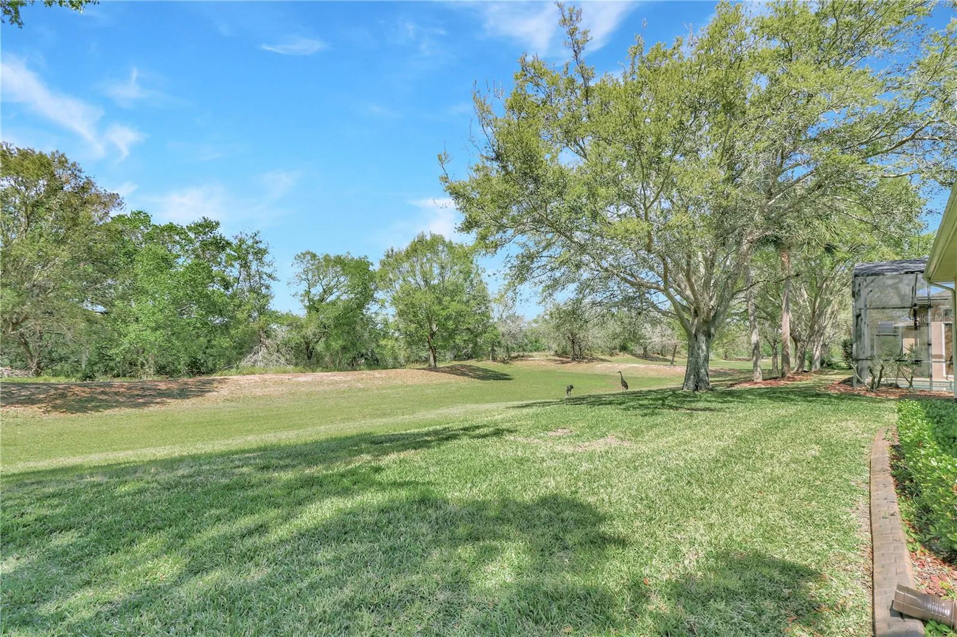 20751 Queen Alexandra Drive Leesburg FL 34748