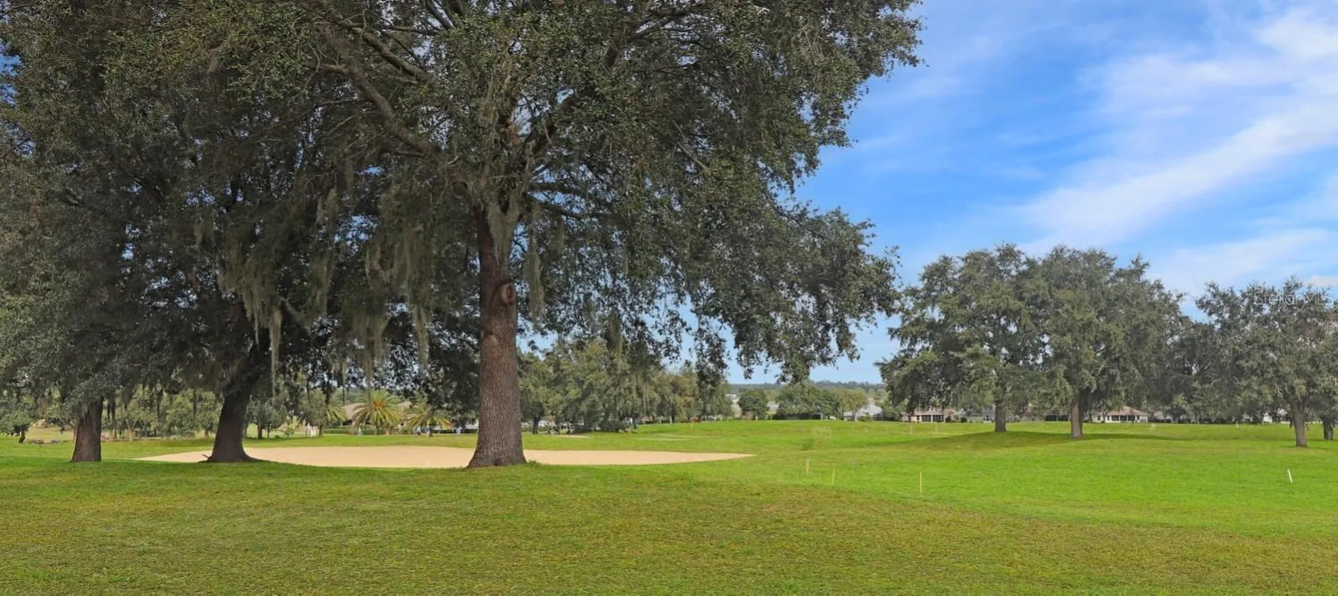 20751 Queen Alexandra Drive Leesburg FL 34748