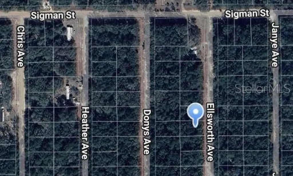 Ellsworth Avenue Interlachen FL 32148