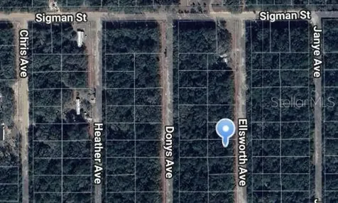 Ellsworth Avenue Interlachen FL 32148