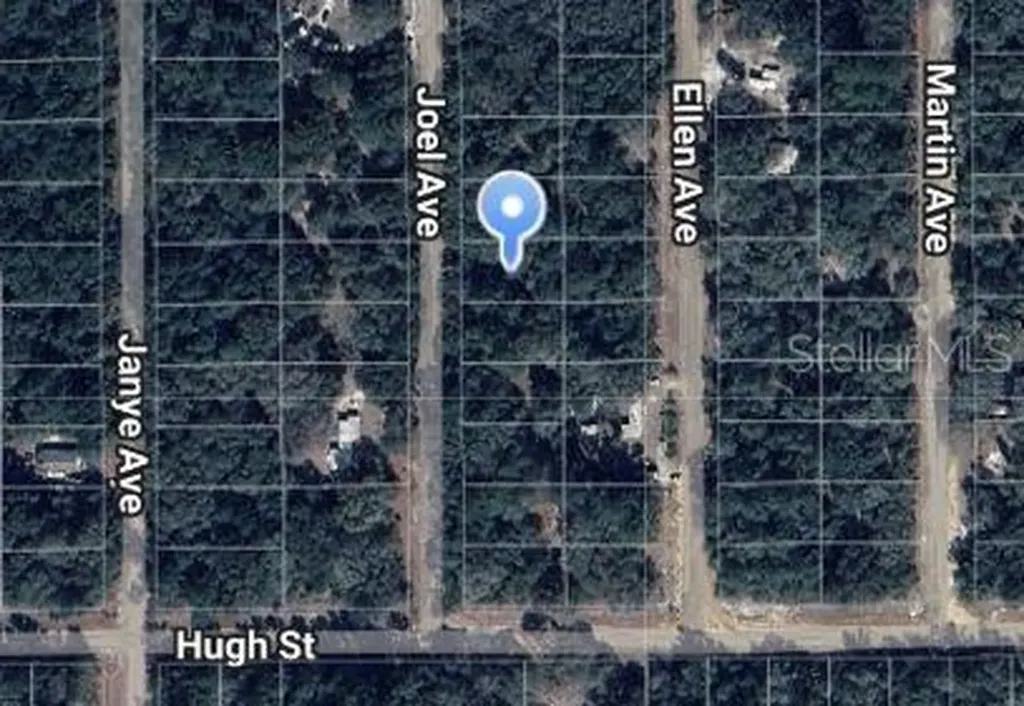 Joel Avenue Interlachen FL 32148