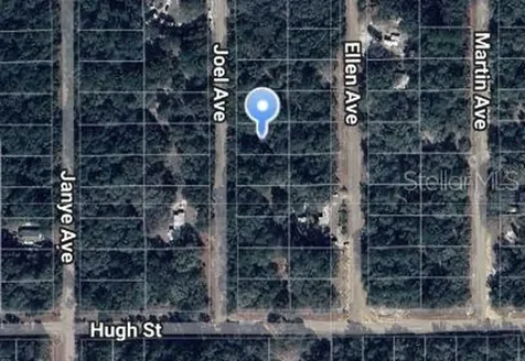 Joel Avenue Interlachen FL 32148