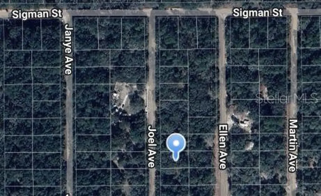 Joel Avenue Interlachen FL 32148