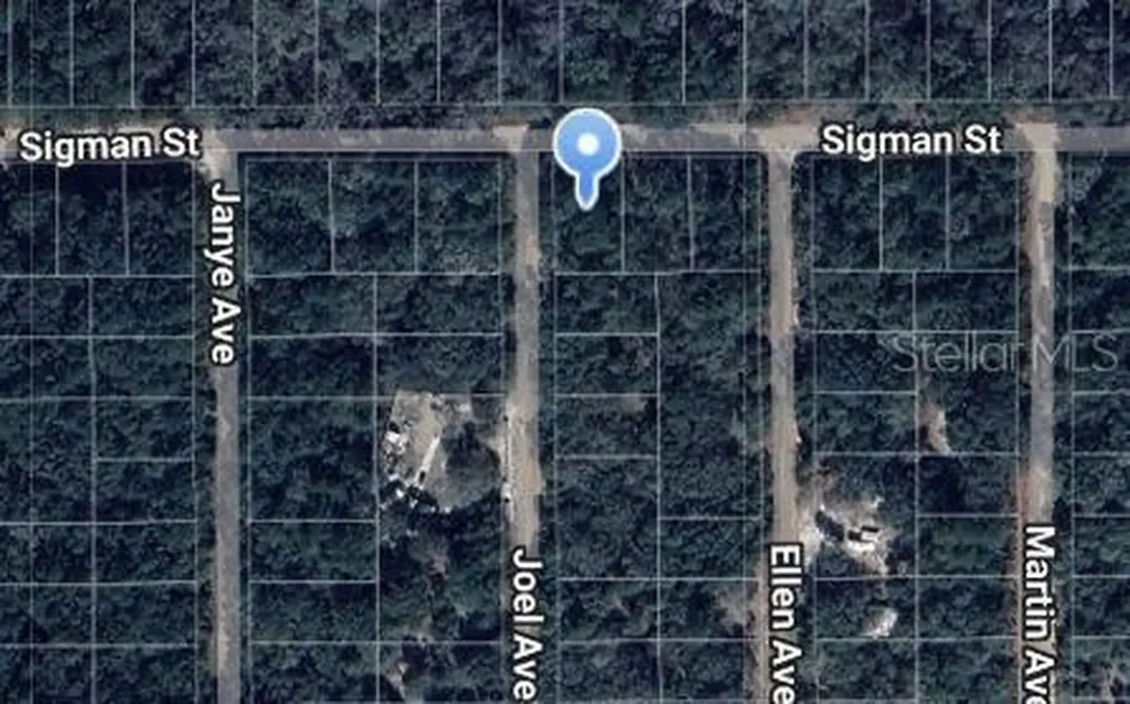 Joel Avenue Interlachen FL 32148