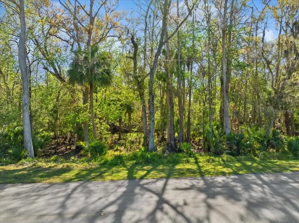 138 Blare Drive Palm Coast FL 32137