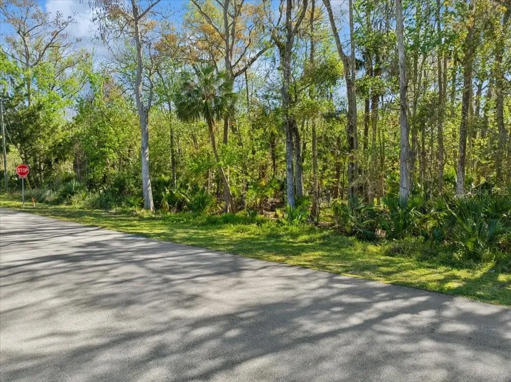 138 Blare Drive Palm Coast FL 32137