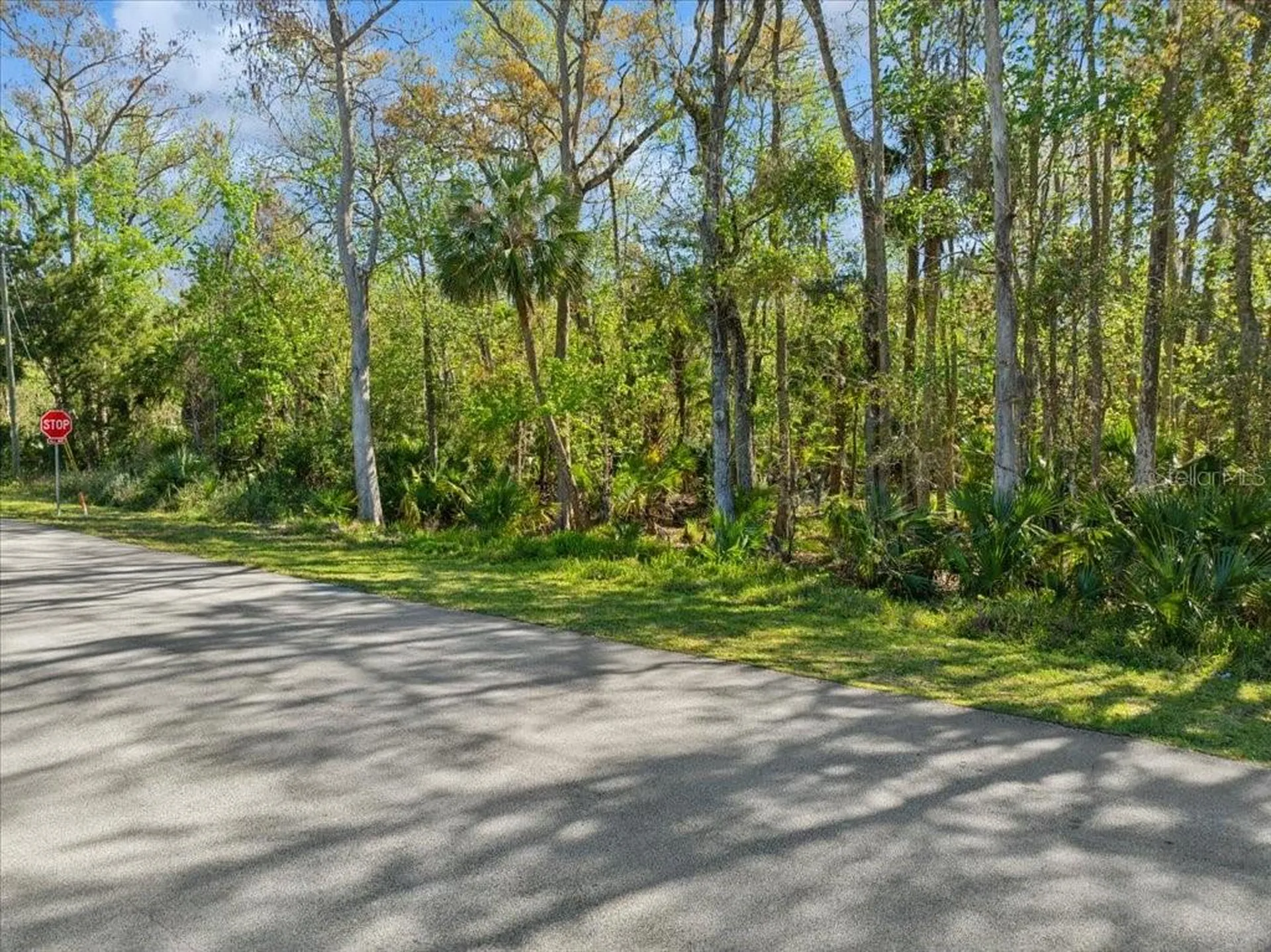 138 Blare Drive Palm Coast FL 32137