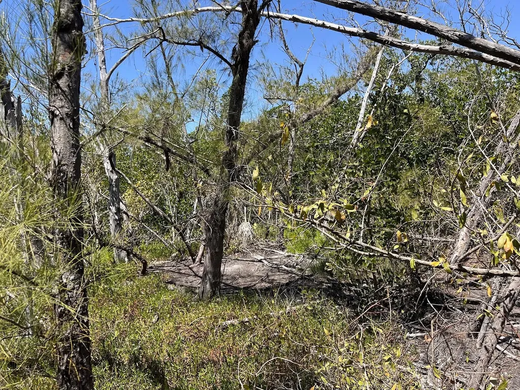 The Island Property Manasota Key Englewood FL 34223