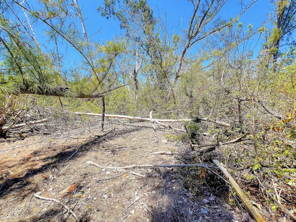 The Island Property Manasota Key Englewood FL 34223