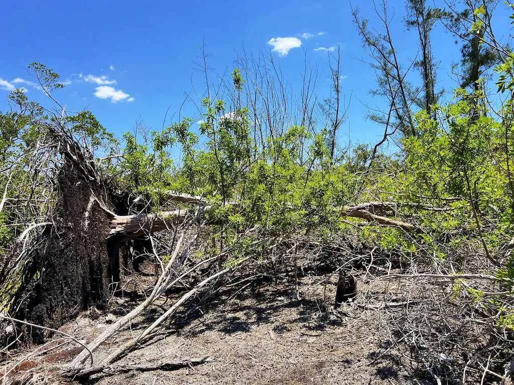 The Island Property Manasota Key Englewood FL 34223