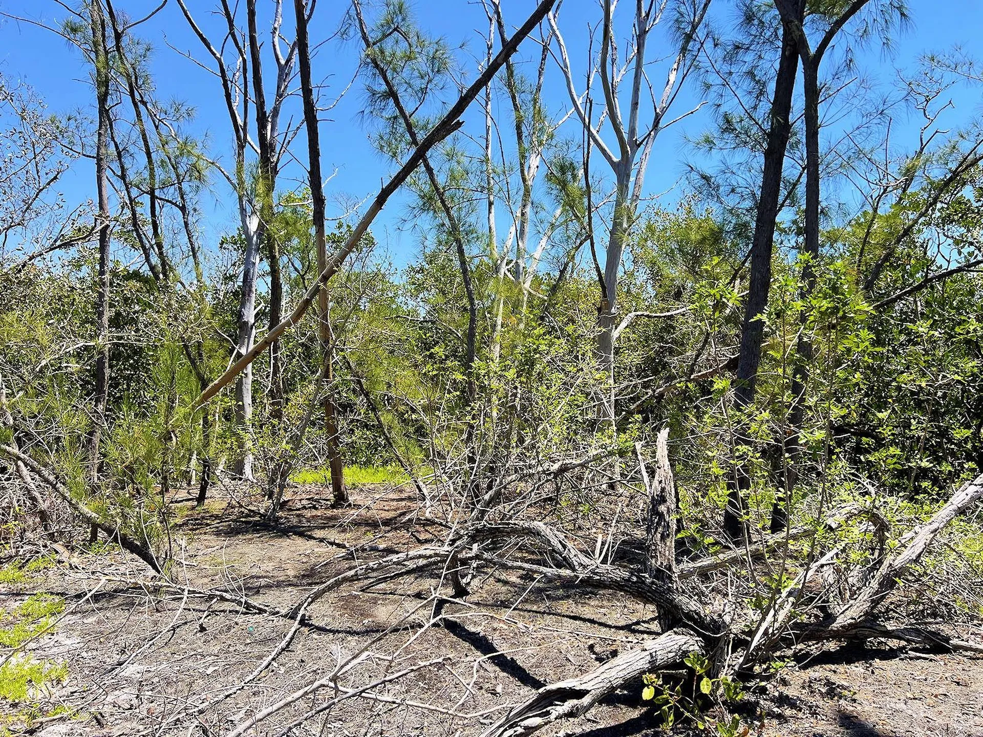 The Island Property Manasota Key Englewood FL 34223