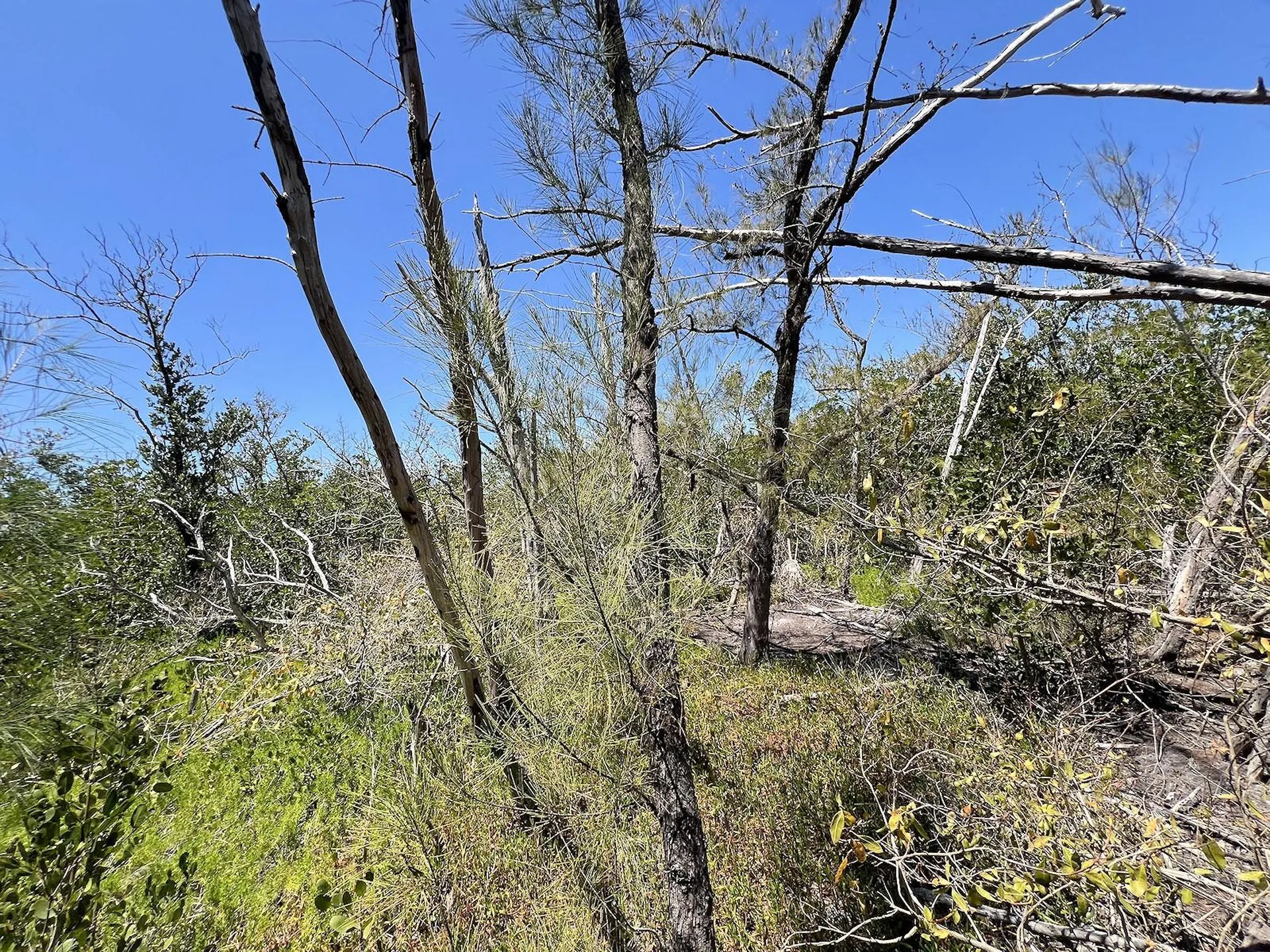 The Island Property Manasota Key Englewood FL 34223