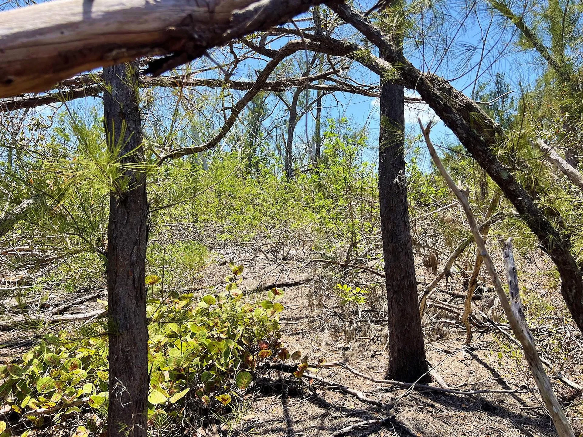 The Island Property Manasota Key Englewood FL 34223