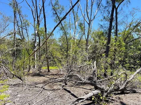 The Island Property Manasota Key Englewood FL 34223