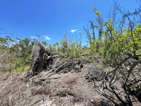 The Island Property Manasota Key Englewood FL 34223