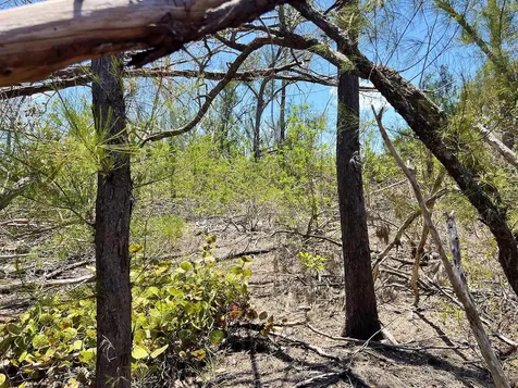 The Island Property Manasota Key Englewood FL 34223