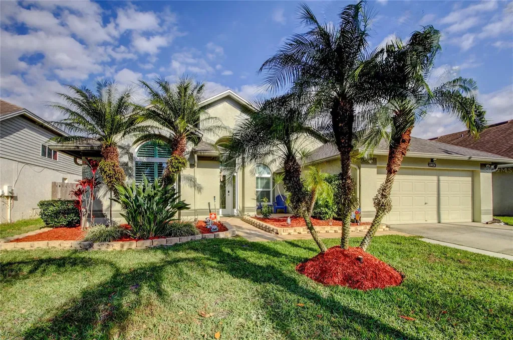 10026 Oasis Palm Drive Tampa FL 33615