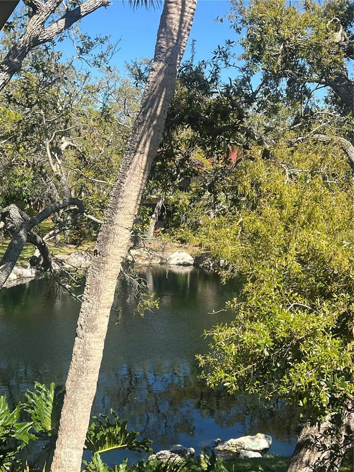 6450 Wild Oak Bay Boulevard Bradenton FL 34210