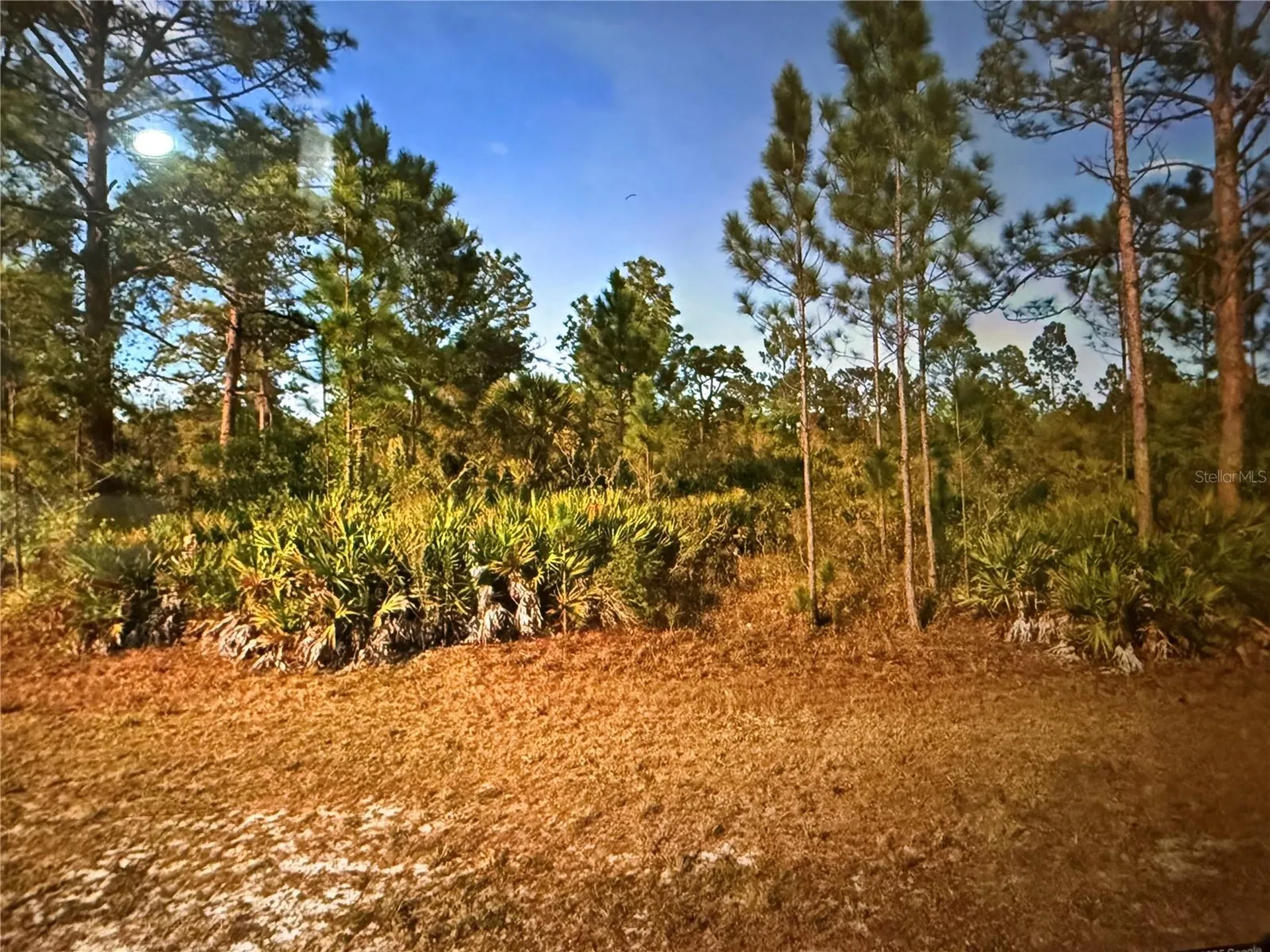 0 Key West Drive Indian Lake Estates FL 33855