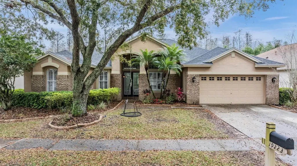 19223 Wind Dancer Street Lutz FL 33558