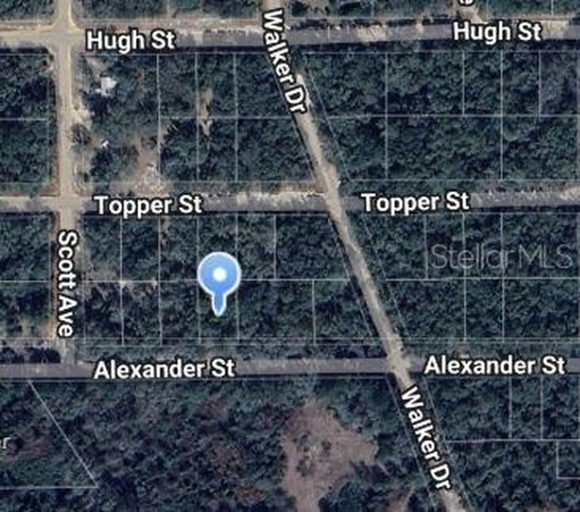 00 Alexander Street Interlachen FL 32148