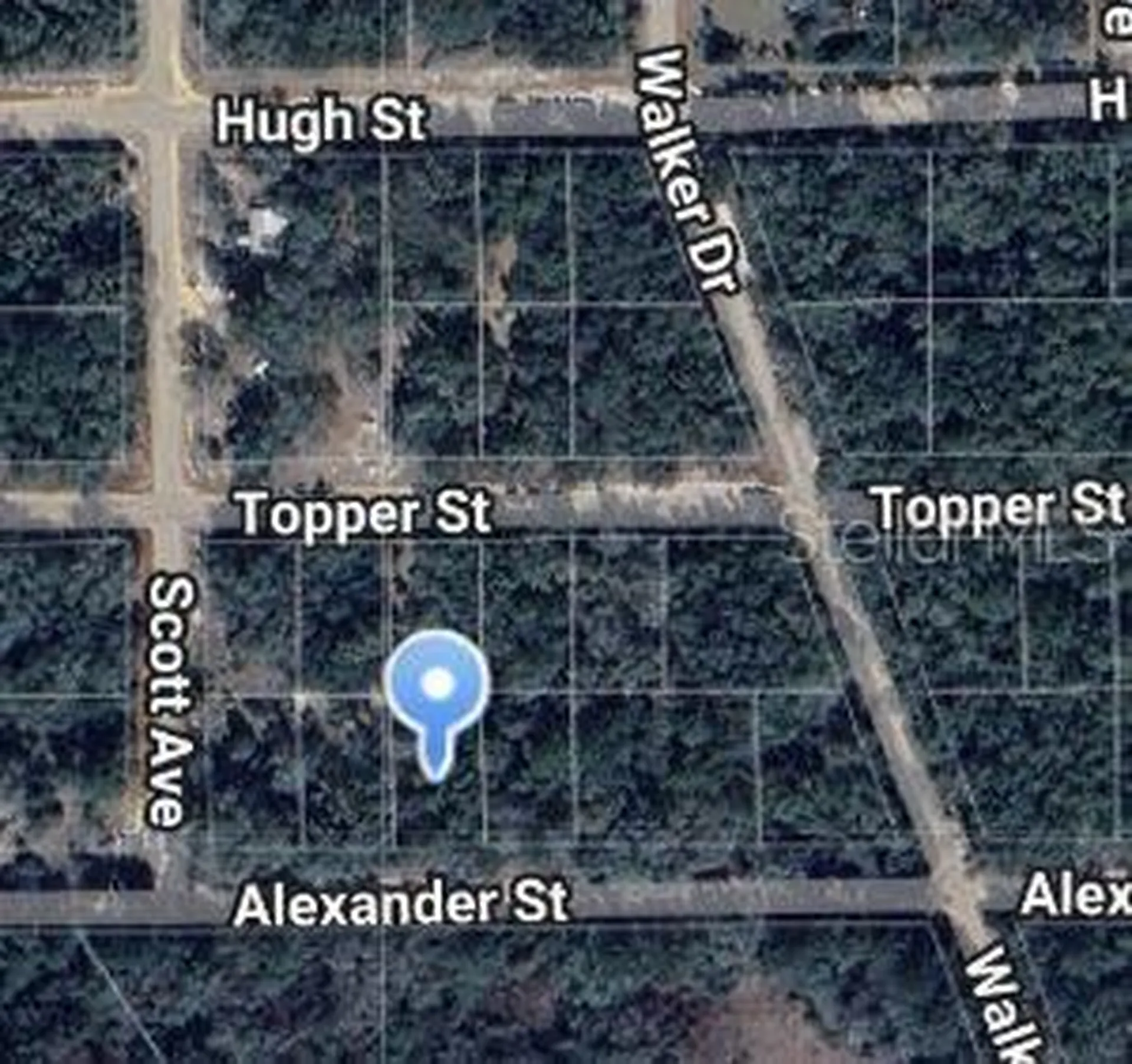 00 Alexander Street Interlachen FL 32148