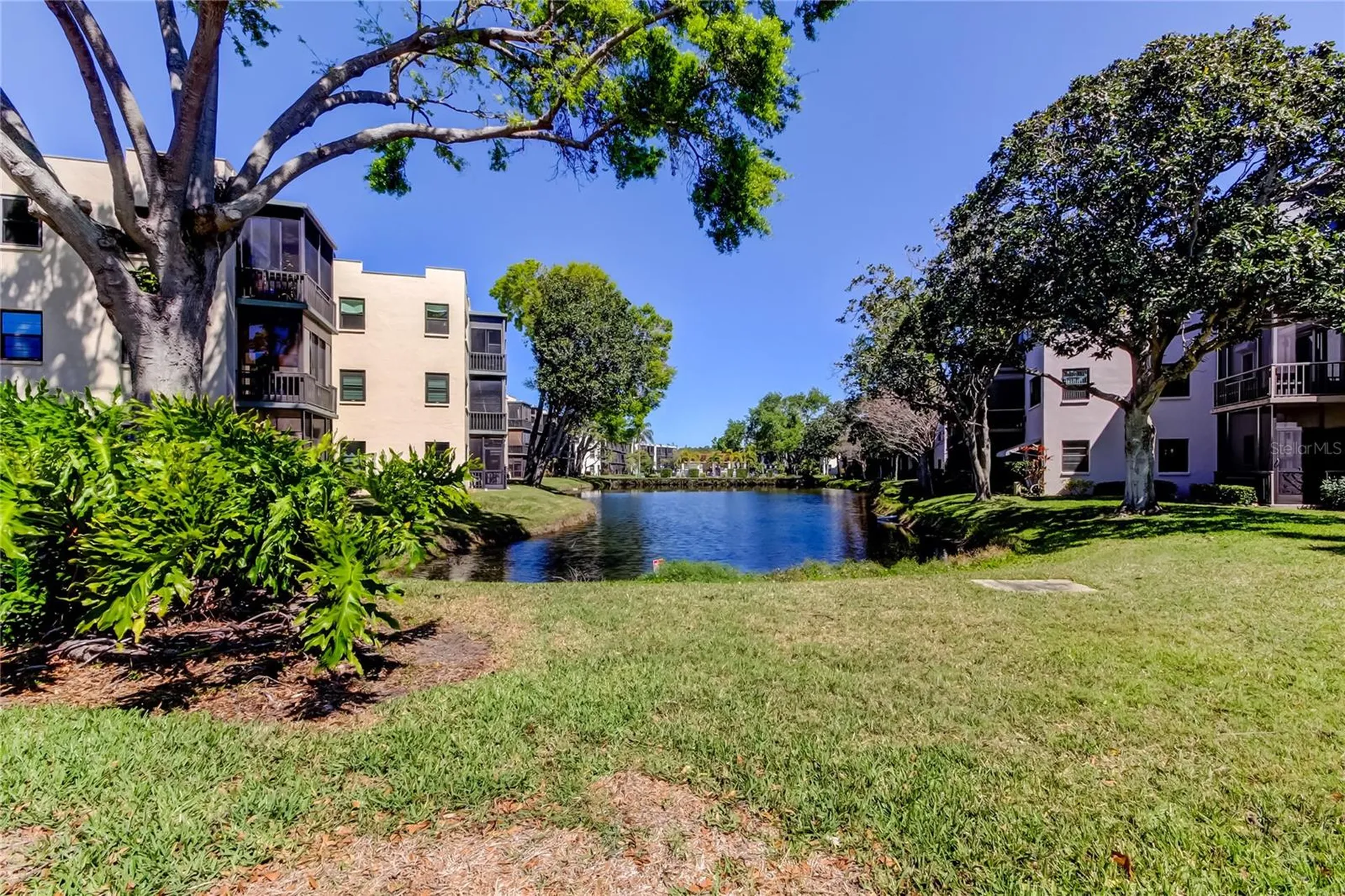 5521 80th Street N St Petersburg FL 33709