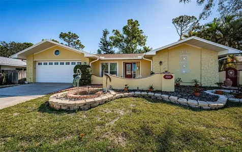 3531 Glossy Ibis Court Palm Harbor FL 34683