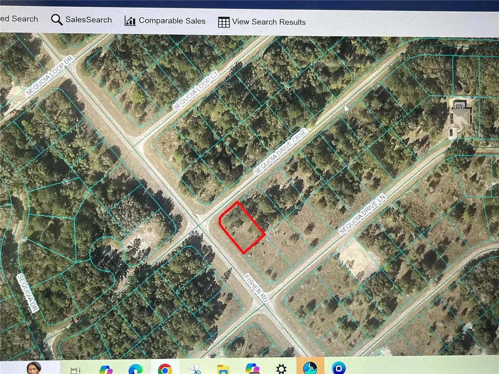 Tbd Sequioa Drive Course Ocklawaha FL 32179