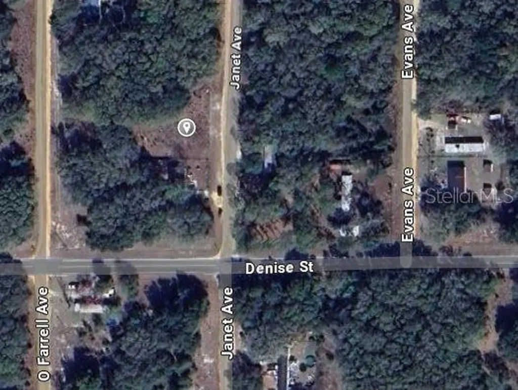905 Janet Avenue Interlachen FL 32148