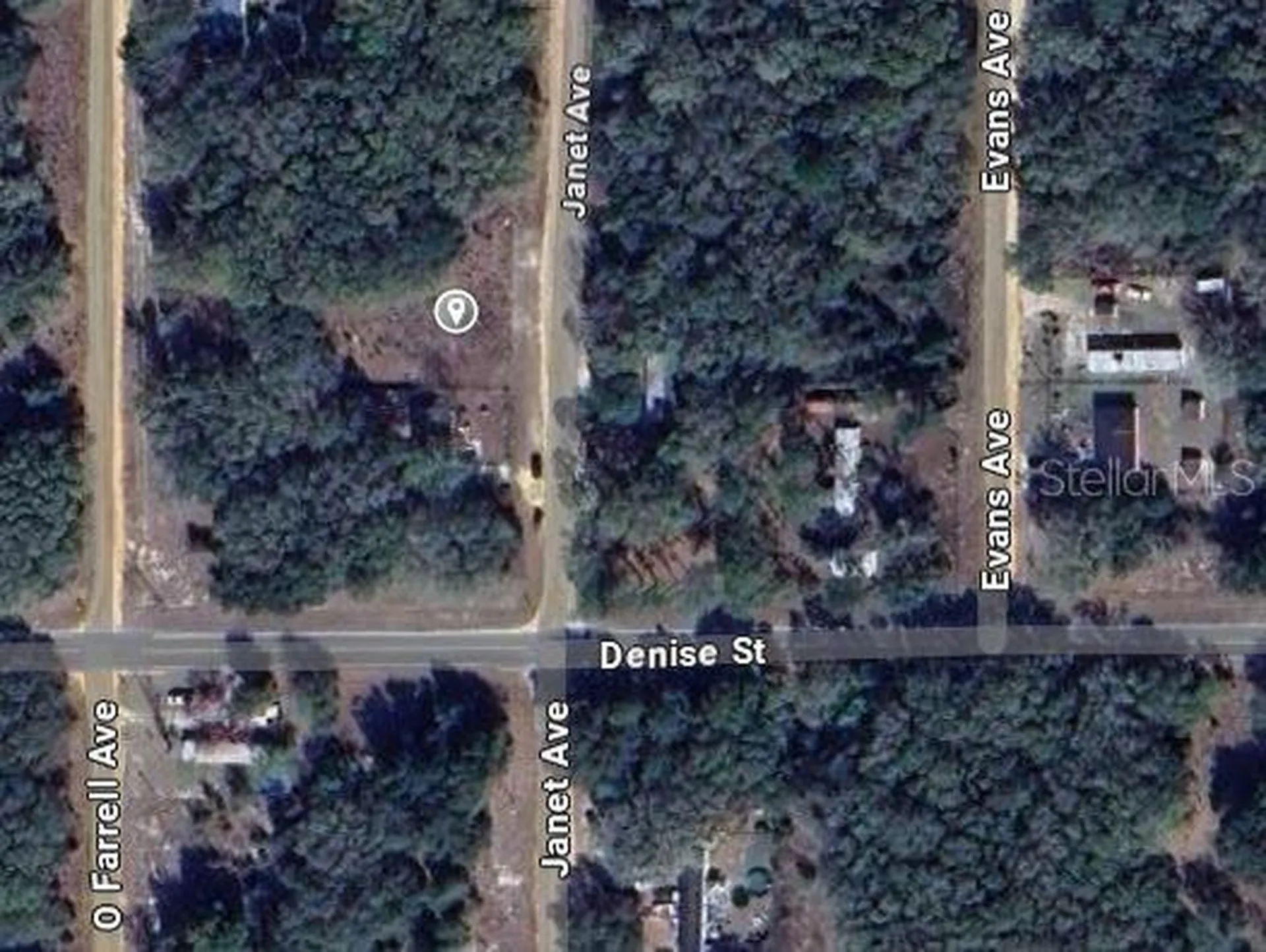 905 Janet Avenue Interlachen FL 32148