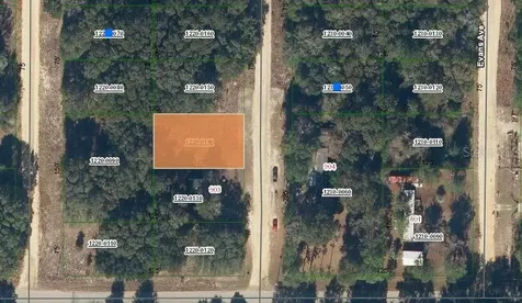 905 Janet Avenue Interlachen FL 32148