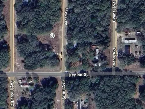 905 Janet Avenue Interlachen FL 32148