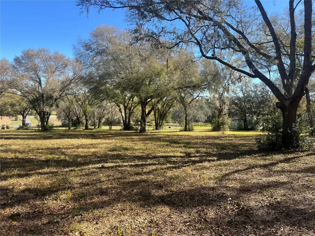 000 SE 118th Lane Belleview FL 34420