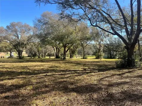 000 SE 118th Lane Belleview FL 34420