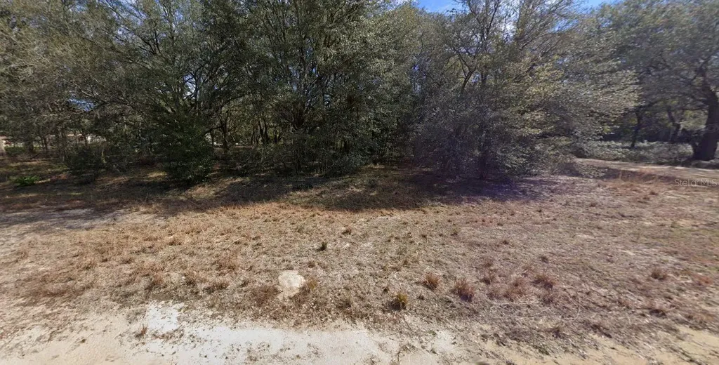 00 Denise Street Interlachen FL 32148