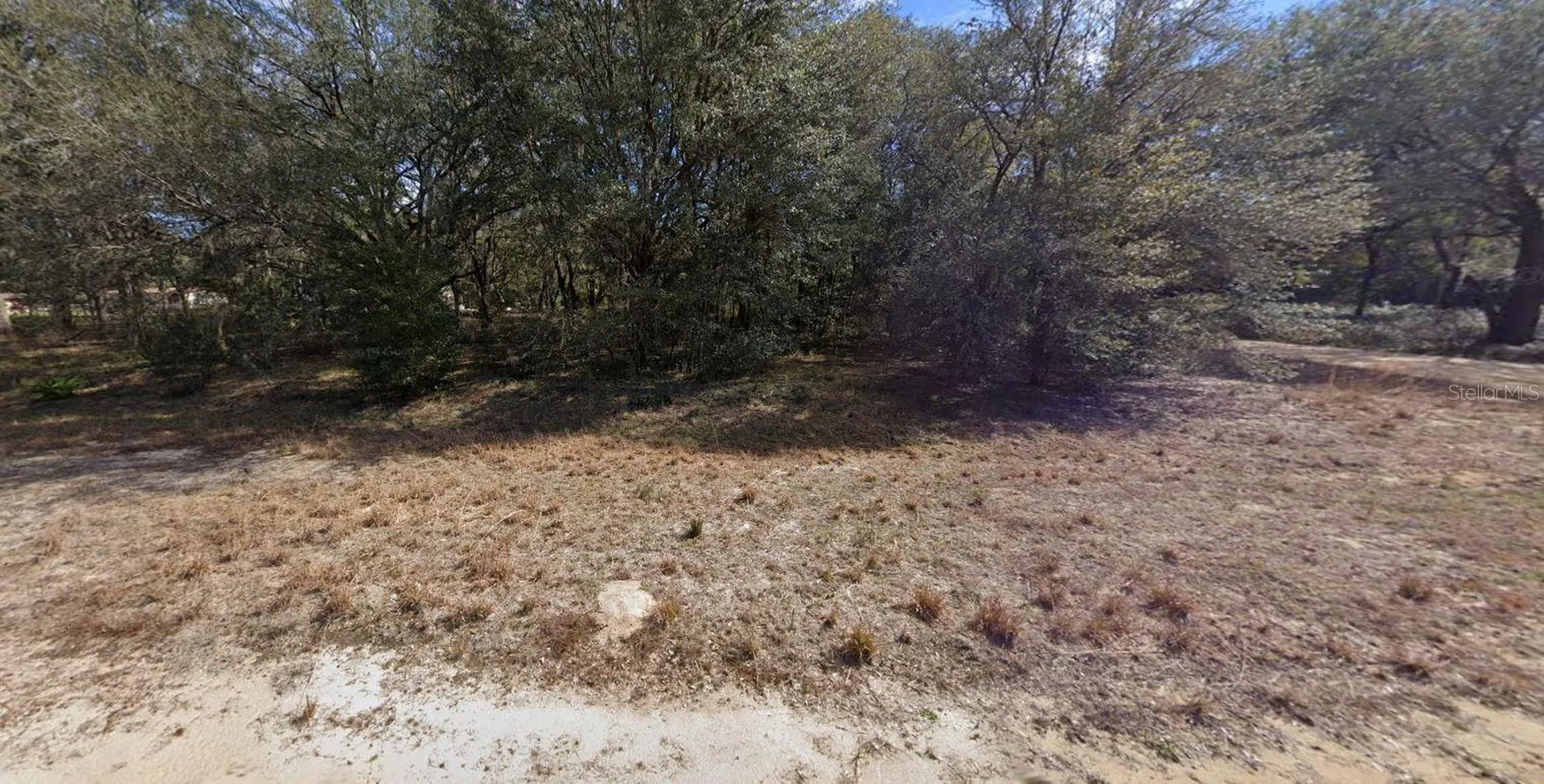 00 Denise Street Interlachen FL 32148