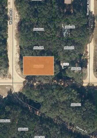 00 Denise Street Interlachen FL 32148
