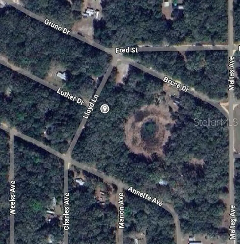 Lloyd Drive Interlachen FL 32148