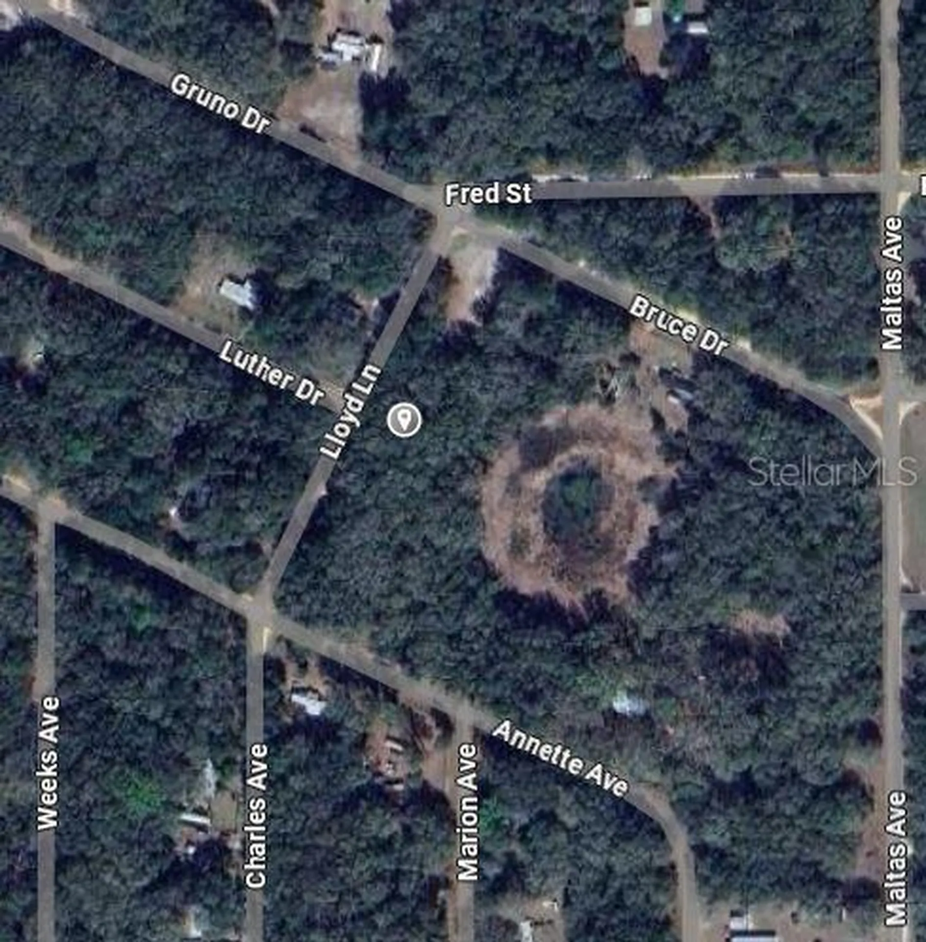 Lloyd Drive Interlachen FL 32148