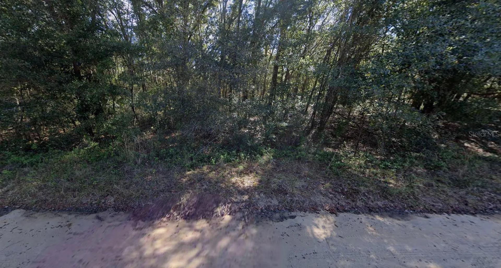 Lloyd Drive Interlachen FL 32148