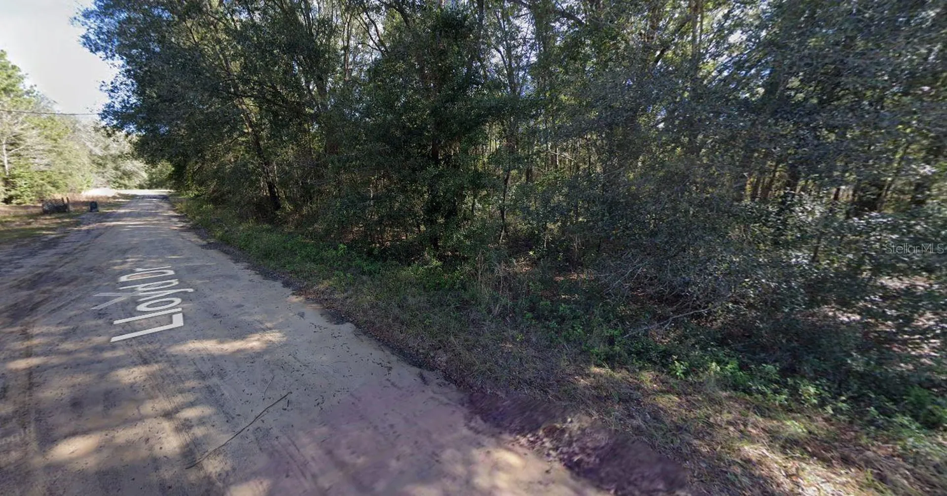 Lloyd Drive Interlachen FL 32148