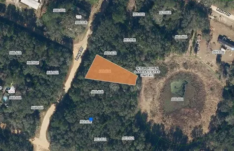 Lloyd Drive Interlachen FL 32148