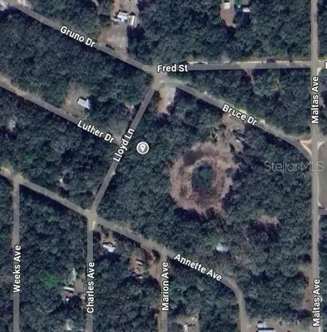 Lloyd Drive Interlachen FL 32148