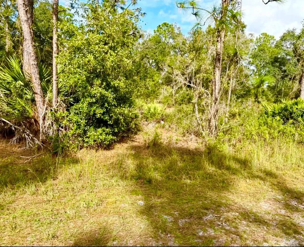 Oleander Drive Indian Lake Estates FL 33855