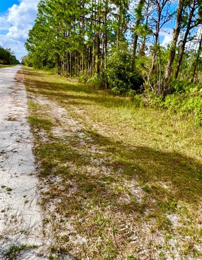 Oleander Drive Indian Lake Estates FL 33855